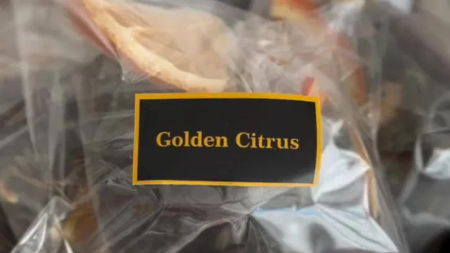 Golden Citrus